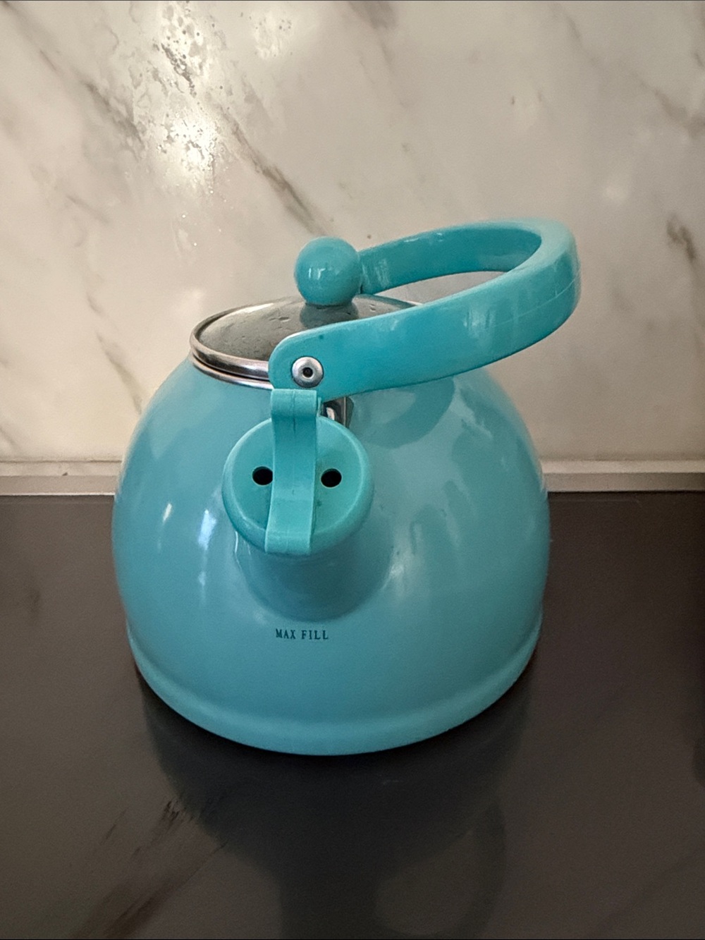 Enamel Turquoise Whistling Tea Kettle with Comfort Handle - Picture 3 of 6